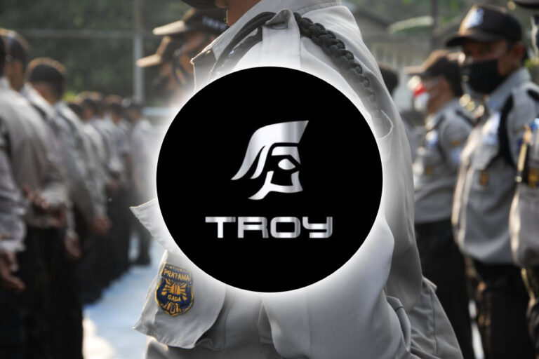 Troy Case Study